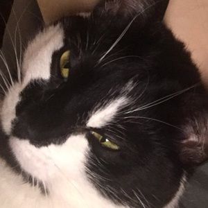 Meet your Posher, Mary